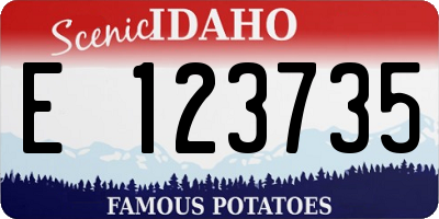 ID license plate E123735