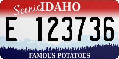 ID license plate E123736