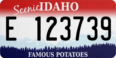 ID license plate E123739