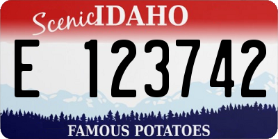 ID license plate E123742