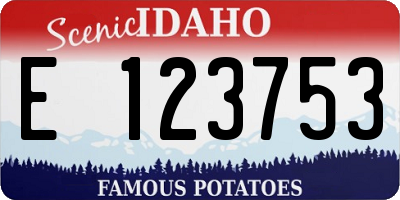 ID license plate E123753