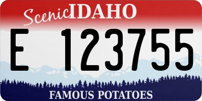 ID license plate E123755