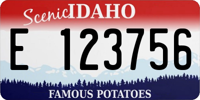 ID license plate E123756