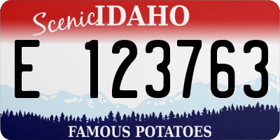 ID license plate E123763