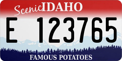 ID license plate E123765