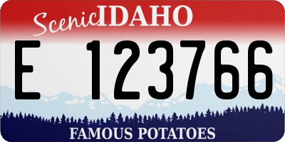 ID license plate E123766