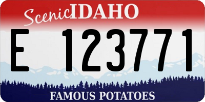 ID license plate E123771
