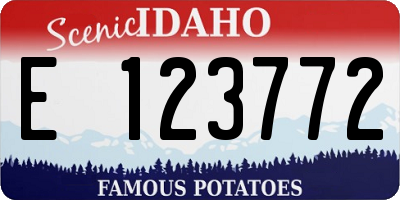 ID license plate E123772