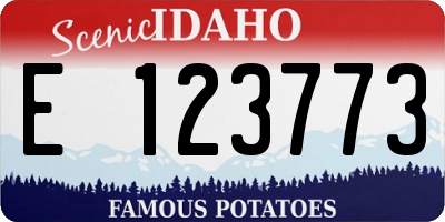 ID license plate E123773