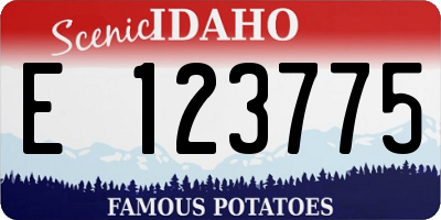 ID license plate E123775