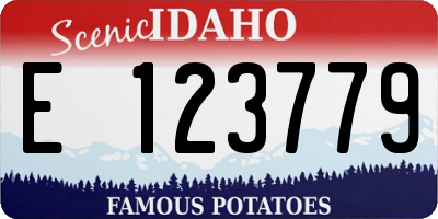 ID license plate E123779