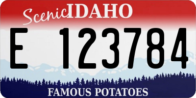 ID license plate E123784