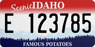 ID license plate E123785