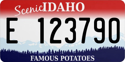 ID license plate E123790