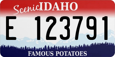 ID license plate E123791