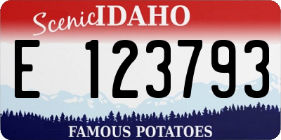 ID license plate E123793