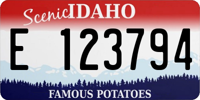 ID license plate E123794