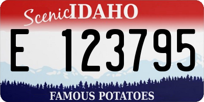 ID license plate E123795