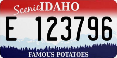 ID license plate E123796
