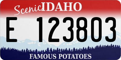 ID license plate E123803