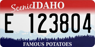 ID license plate E123804