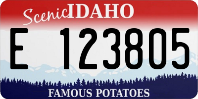 ID license plate E123805