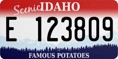 ID license plate E123809
