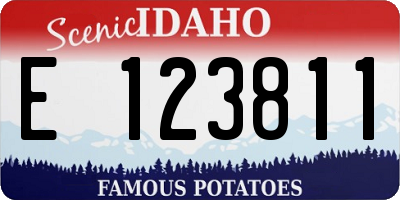 ID license plate E123811