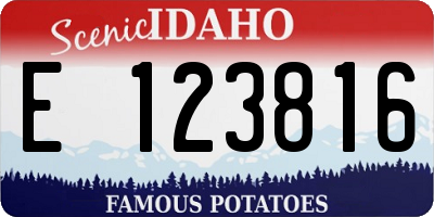 ID license plate E123816