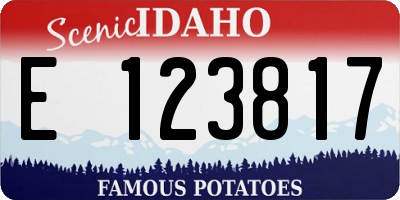 ID license plate E123817