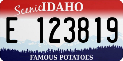 ID license plate E123819