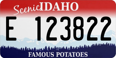 ID license plate E123822