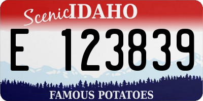 ID license plate E123839