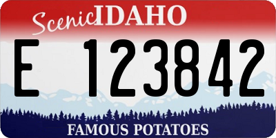 ID license plate E123842