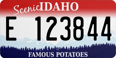 ID license plate E123844