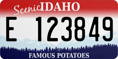 ID license plate E123849