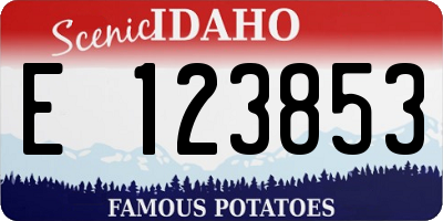 ID license plate E123853
