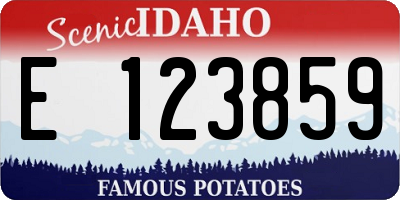 ID license plate E123859
