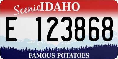 ID license plate E123868