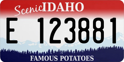 ID license plate E123881