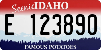 ID license plate E123890