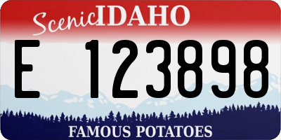 ID license plate E123898