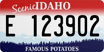 ID license plate E123902
