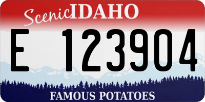 ID license plate E123904