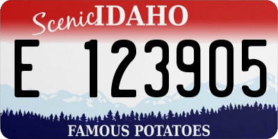 ID license plate E123905