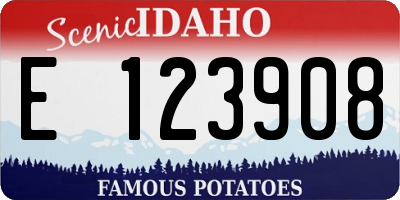 ID license plate E123908
