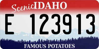 ID license plate E123913