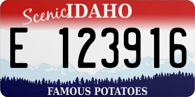 ID license plate E123916