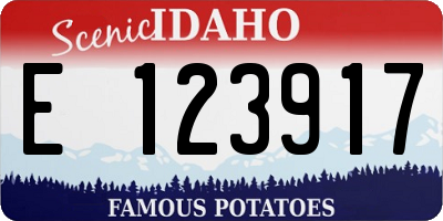 ID license plate E123917