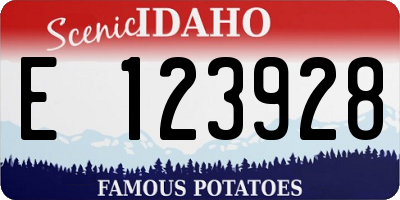 ID license plate E123928